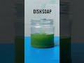 Science Experiments Life Hacks Experiments Vinegar Baking Soda