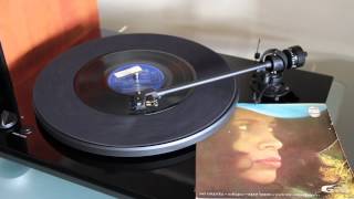 Gal Costa : Sua estupidez e Zoilógico