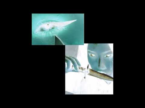 17. 水skeleton - 003/telum (ft. cureguard) [18.11.2017]