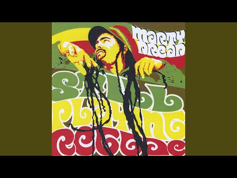 Peaceful Solution (feat. Willie Nelson & Mad Professor)