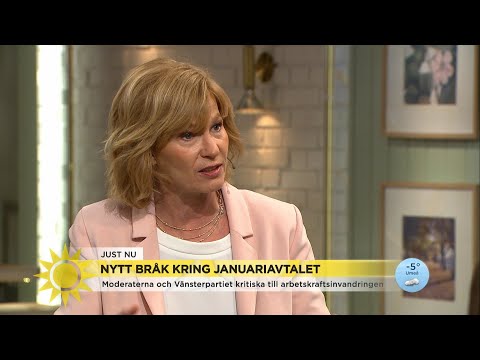 V och M i samtal om arbetskraftsinvandring - Nyhetsmorgon (TV4)