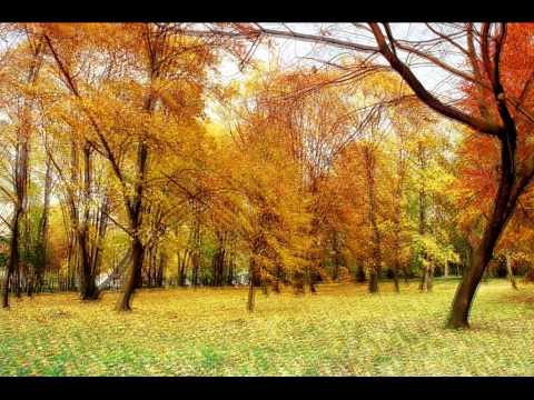 Heinrich Ignaz Franz Biber - XI Die Auferstehung (Rosenkranzsonatas)