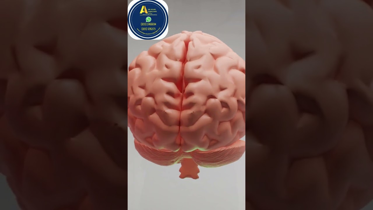 Felipe Caballero De Leon-11