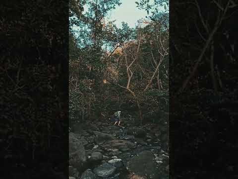 KOSMAL WATERFALL | VYARA GUJARAT | PURNA SANCTUARY | JENISH NAIK | DANG TRACKING #short #youtube