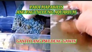 GAWIN MO ITO PARA MAPABILIS ANG PAG CYCLE NG BAGONG SET UP NA AQUARIUM