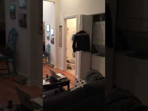 3138 N Southport - Video 2 of 2