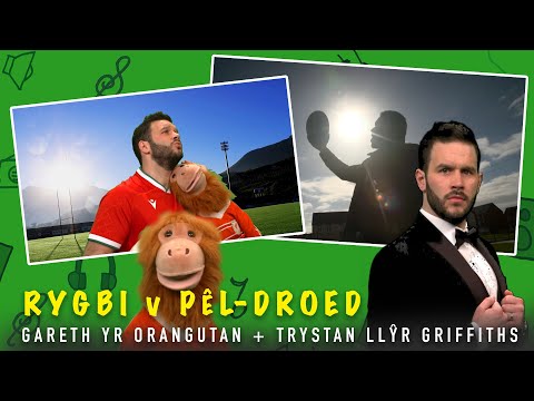 Rygbi v Pêl-Droed (gyda Trystan Llyr Griffiths) – Gareth yr Orangutan