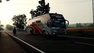 Download lagu Story wa bus mira terbaru ‼️ PO. EKA MIRA mp3