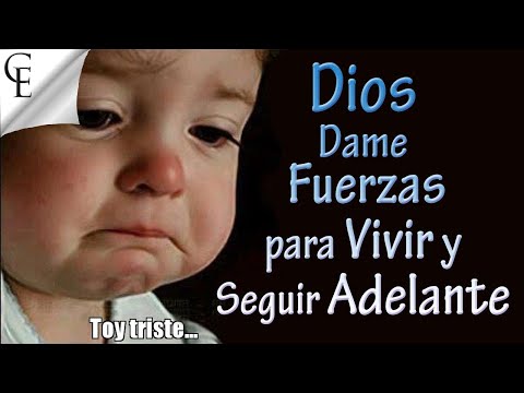 download lagu mp3 mp4 Seor Dame Fuerzas Para Aceptar Tu Voluntad, download mp3 Seor Dame Fuerzas Para Aceptar Tu Voluntad free download mp3, download mp3 Seor Dame Fuerzas Para Aceptar Tu Voluntad