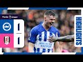 PL Highlights: Albion 1 Fulham 1