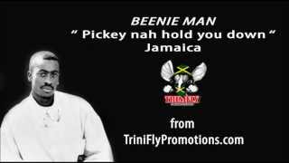 Beenie Man -  Pickney nah Hold me down
