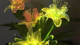 File Mar 09, 6 06 58 PM