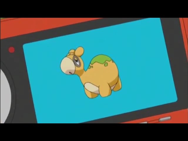 How To Evolve Numel Into Camerupt In Pokemon Emerald