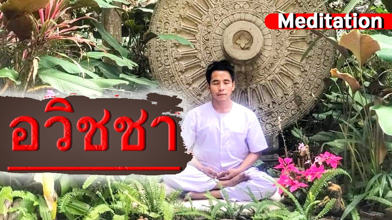 รูปภาพ นั่งสมาธิ Photomeditation ดาวโหลด Google Youtube SEO