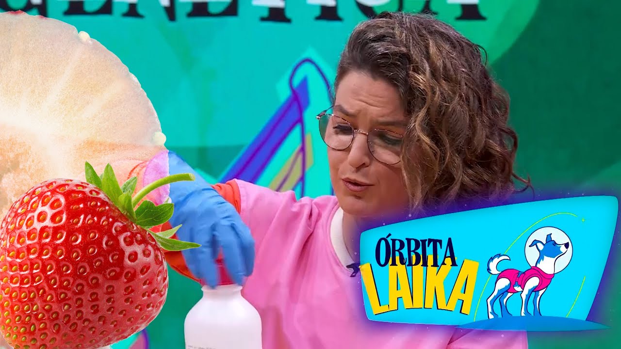 Aislar el ADN de una fresa - Órbita Laika | La2