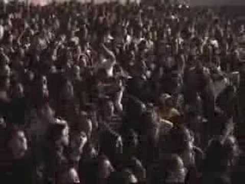 Chaucha Kings Tabaco y Ron