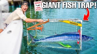 SEA MONSTER Caught In GIANT FISH TRAP!