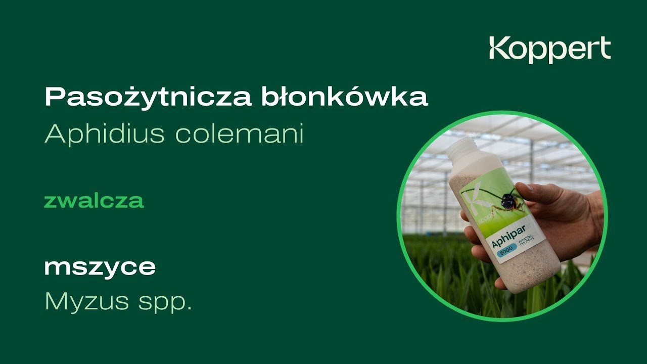 Video preview poster