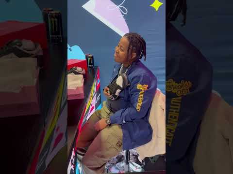 Spotting Fake panda pigeon SB dunk low