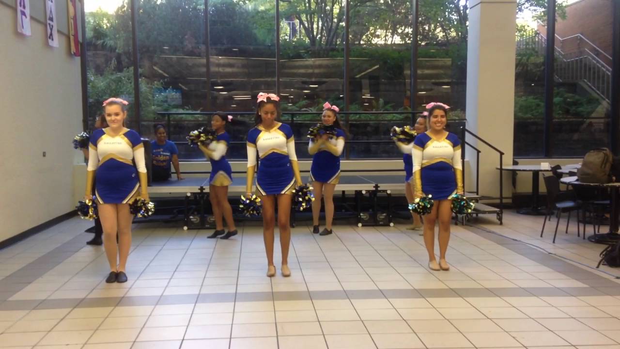 NEIU eaglettes