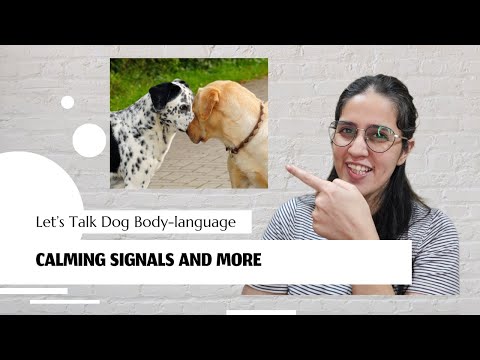 Dog Body Language, Calming Signals and more