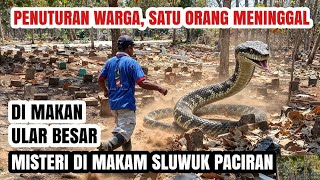 Download lagu Snake Constriction Full HD 1080p mp3