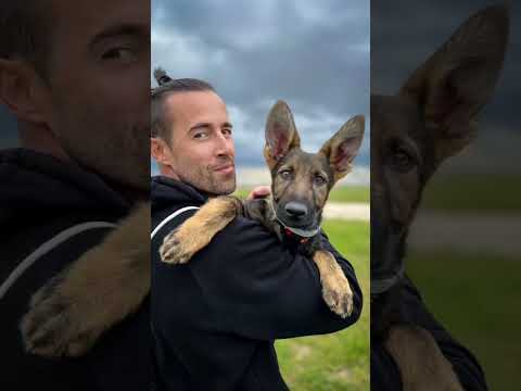 SANTAFLOW Resumen 2022