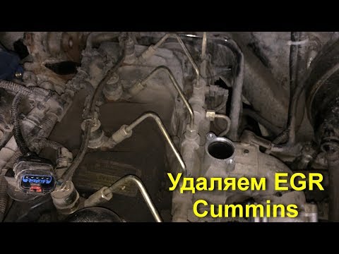 Удаляем егр на газели некст. пробег 70 000км