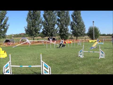 Rynn - Kraft Agility Vizsga 09.12.