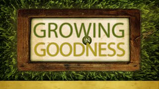 Growing In Goodness