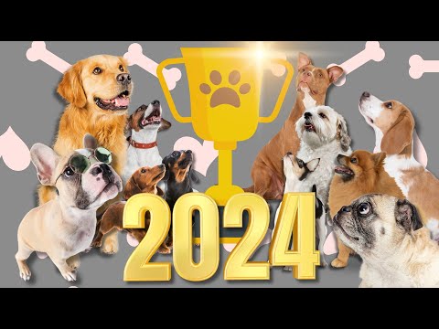 😍🐾2024 - Top 20 Popular Dog Breeds