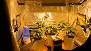 Cómo hacer un indoor