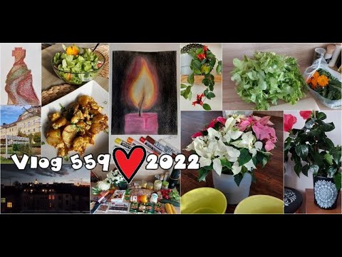 Vlog 559/22 - nákup, zapečený květák, suchý pastel