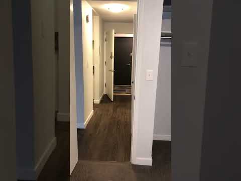 Brooklyn Apartments - Video 4 of 4