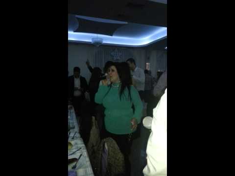 Muzicka zabava, Nis 2014