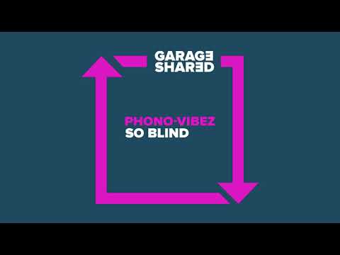 Phono Vibez - So Blind