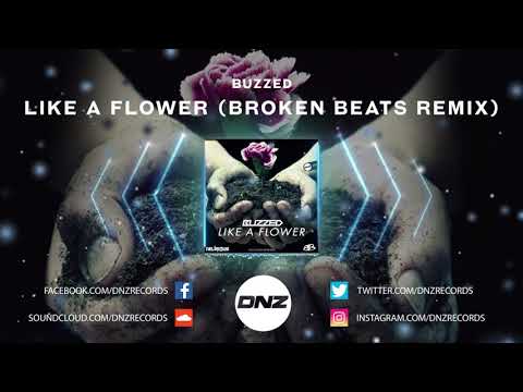 DNZ372 // BUZZED - LIKE A FLOWER BROKEN BEATS REMIX (Official Video DNZ Records)