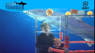 DIA 3 Expo Tiburon191