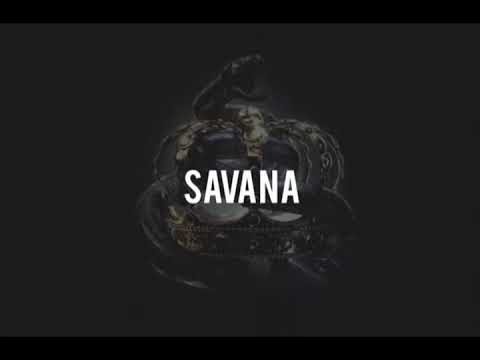 Mc zoi de gato - Savana
