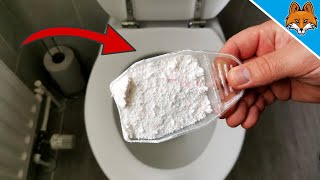 Dump WASHING POWDER into your Toilet and WATCH WHAT HAPPENS 💥