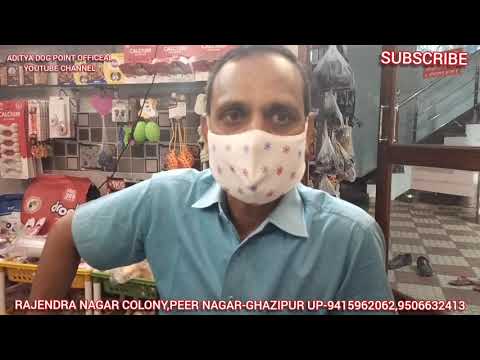 Top Quality Pet Puppy & Accessories/Foods...#Aditya Dog Point...Rajendra Nagar,Peernagar-Ghazipur up