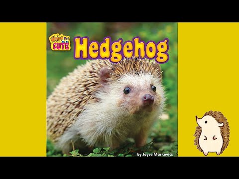 Hedgehog By Joyce Markovics | Educational Books About Animals