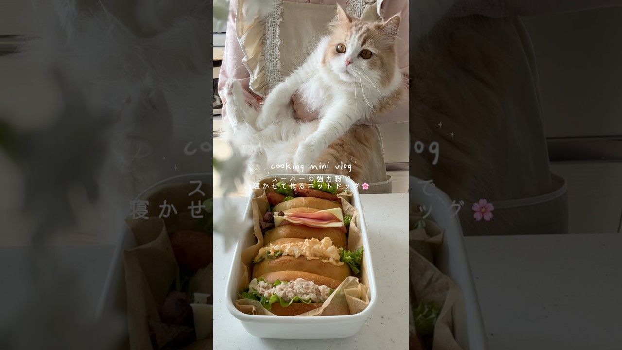 スーパーの強力粉でホットドッグサンド🌭冷蔵庫で寝かせて楽ちん！