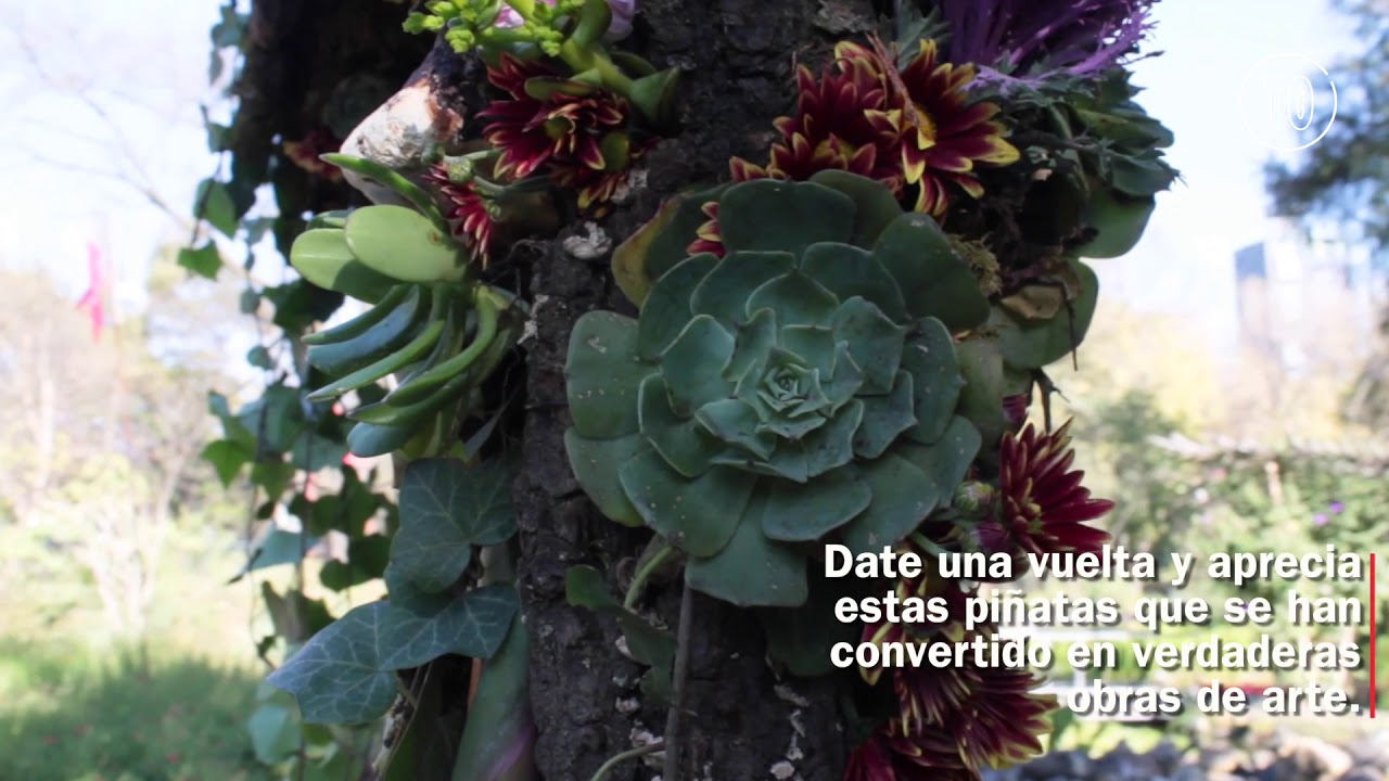 Piñatas y flores 2018 de FYJA en el Jardín Botánico de Chapultepec