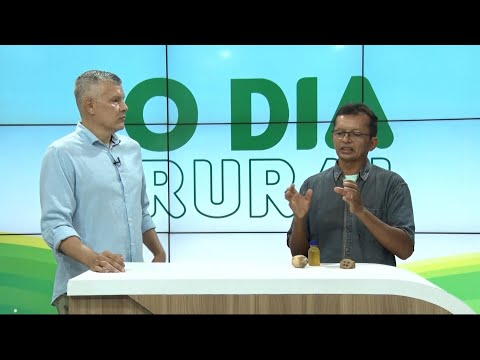 Entrevista com o pesquisador do Babaçu, Buriti e Castanha do Pará, Edivan Vieira (UFPI) 25 03 2023