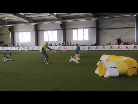 Smaragd záró Kupa 2021.10.30. DogFlow A1 Agility 2.hely és 3.hely