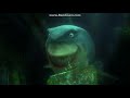 Finding Nemo Shark Meeting With Bruce DVDRIP