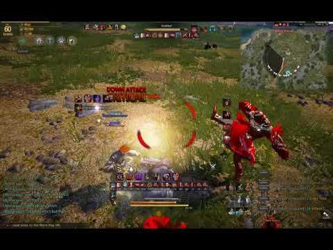 Black Desert Zerk vs Striker