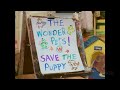 The Wonder Pets Save The Puppy Title Card