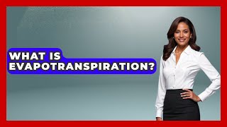 What Is Evapotranspiration? - Civil Engineering Explained